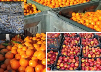 AKU: Pjeshkët dhe rrushi i importuar nga Greqia me pesticide mbi normën