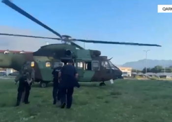 Policia shkon me helikopter tek parcelat e kanabisit në Shkodër, arrestohet kryeplaku, në kërkim kultivuesi