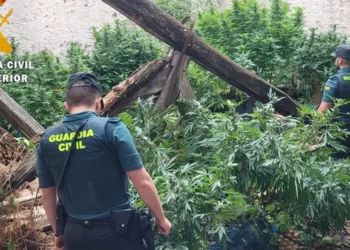 Zbulohet një “shtëpi bari” në Spanjë, 5 shqiptarë bien në pranga dhe mes tyre një grua