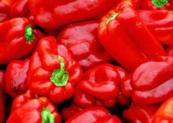 Sllovenia tërheq urgjentisht prej tregut specat nga Shqipëria, prani e pesticideve të rrezikshme