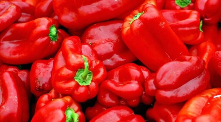 Sllovenia tërheq urgjentisht prej tregut specat nga Shqipëria, prani e pesticideve të rrezikshme