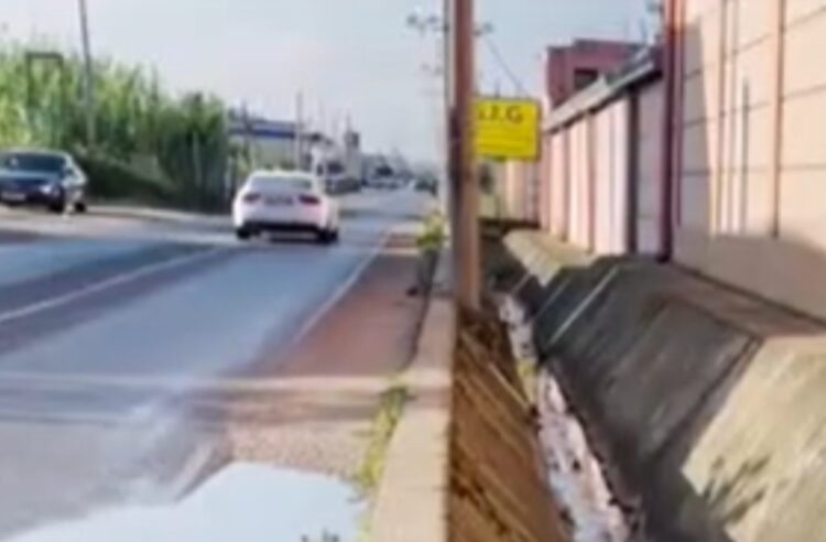 Lagje mes plehrave dhe kanalit të ujërave të zeza në Sukth: Banorët në rrezik prej vitesh, kërkojnë zgjidhje urgjente