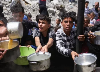 Rëndohet bilanci i luftës në Gaza/ Shkon në 441 numri i viktimave nga uria