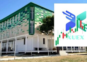 Humbi 1000 dollarë në “piramidën online”, punonjësja e bashkisë Divjakë tregon si u mashtrua nga platforma XUEX