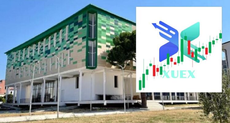 Humbi 1000 dollarë në “piramidën online”, punonjësja e bashkisë Divjakë tregon si u mashtrua nga platforma XUEX