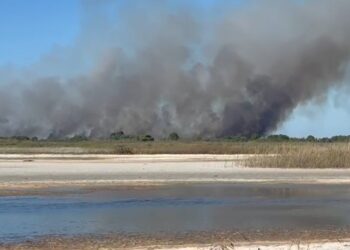 Bregdeti i Semanit në flakë, era favorizon përhapjen e zjarrit, rrezikohet habitati i specieve të egra