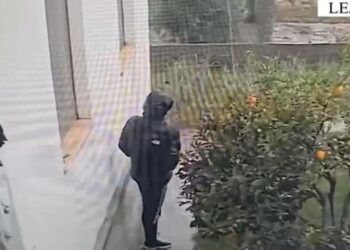 Lezhë/ Vodhi bizhuteri me vlerë 300 mijë lekë të rinj, arrestohet 24-vjeçari! I shiti në një argjendari në Shkodër (EMRI)