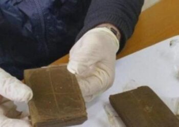 Natën në burg, ditën korrier droge në Itali, shqiptari fshehu 15 kg kanabis në dollap