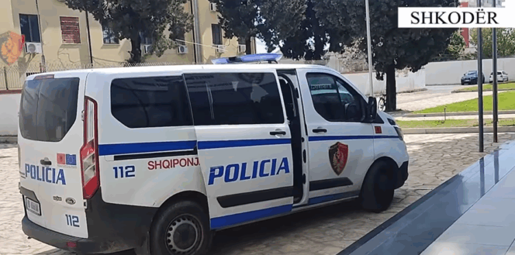 Qëlluan me armë për të kanosur fqinjin, arrestohen babë e bir