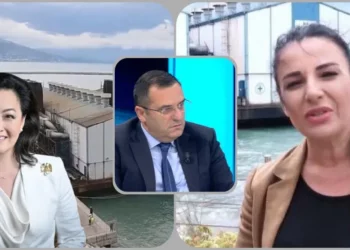 Përse “Tigrat” punësojnë macet!?