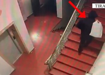 Vodhi 1 mln lekë dhe sende me vlerë 20 mijë euro në një banesë, arrestohet – EMRI