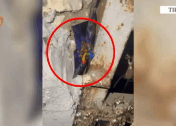 Shpërndanin drogë në formë xhelatine, arrestohen dy të rinj në Tiranë – Emrat