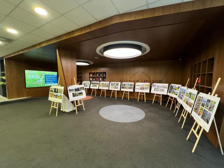 Hapja e Ekspozitës së Konkursit të Fotografisë EU4Green në Tiranë “Shembujt më të gjelbër të Ballkanit Perëndimor”