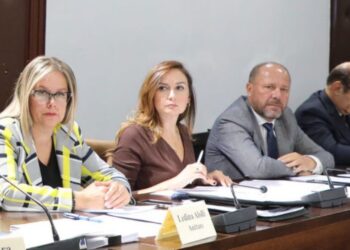 Tabaku: Rënia e euros, flluska në ndërtim dhe rritja e çmimeve po e dëmtojnë ekonominë reale shqiptare