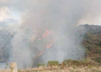 Zjarr masiv në Peqin, flakët përfshijnë sipërfaqen e madhe me pemë