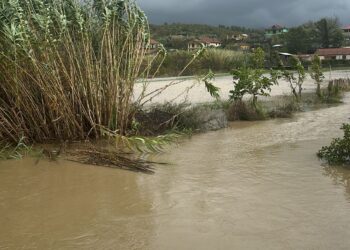 Reshjet e shiut përfshijnë Qarkun e Lezhës, rrezik për përmbytje nga lumi Gjadër