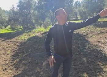 Rënie drastike e prodhimit të ullirit në Kurjan të Roskovecit: Fermerët përballen me vështirësi të mëdha