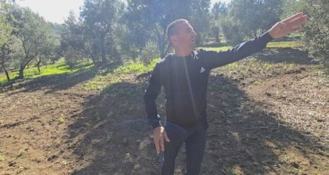 Rënie drastike e prodhimit të ullirit në Kurjan të Roskovecit: Fermerët përballen me vështirësi të mëdha