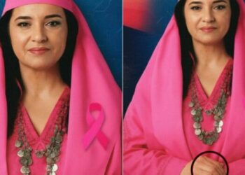 Diella shfaqet me 6 gishta/ Video virale e ‘ministres’, në mesazhin e saj për publikun