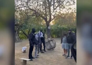 Sekuestrohet mbi 40 kg drogë në Mirditë, arrestohen dy vëllezërit dhe miku i tyre (Emrat)