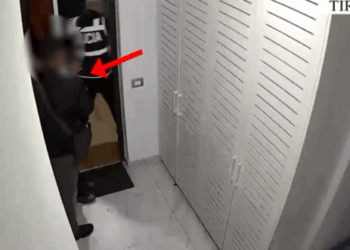 Arrestohet tutori brazilian, shfrytëzonte 24-vjeçaren për prostitucion në Tiranë