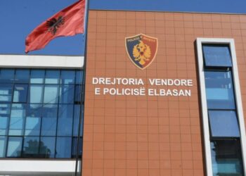 Goditje e fortë në botën e krimit në Elbasan, në pranga edhe Maks Lika, shoku i …