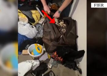 Fier/Zbulohet një bazë kriminale në lagjen “Kastriot”, ku mbahej arsenal armësh, me qëllim shitjen te kontigjenti kriminal (VIDEO)