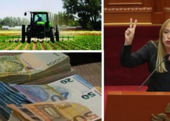 Dumani konfirmon hetimet e SPAK për abuzimet me fondet e IPARD, përfituesit grupe kriminale dhe të afërmit e politikanëve