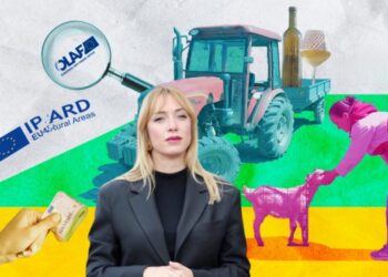 Nga familjarët tek ish-deputetë dhe zyrtarë të PS, ja kujt ia dha Frida fondet IPARD