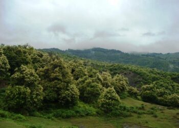 Tropoje/ 26-vjeçari zhduket në rrethana misterioze gjatë mbledhjes së gështenjave