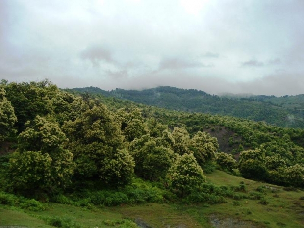 Tropoje/ 26-vjeçari zhduket në rrethana misterioze gjatë mbledhjes së gështenjave