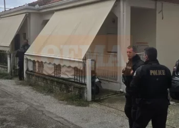 Tronditëse në Greqi, 18-vjeçari mbyt nënën e tij me peshqir