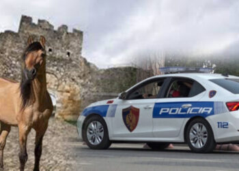 Del fotoja e autorit të vrasjes në Berat, goditi 42-vjeçarin me thikë pas sherrit për kalin