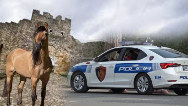 Del fotoja e autorit të vrasjes në Berat, goditi 42-vjeçarin me thikë pas sherrit për kalin