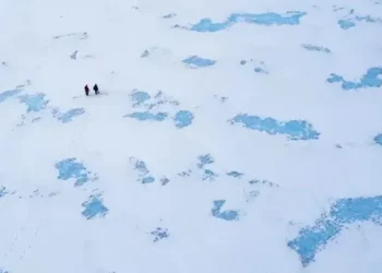 Alarm nga shkencëtarët: Mikrobet e ngrira prej 40 mijë vjetësh mund të “zgjohen”