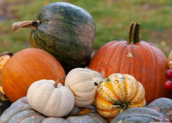 Kungulli: Superfruti i vjeshtës që ndihmon në dobësim, forcon imunitetin dhe mbron zemrën