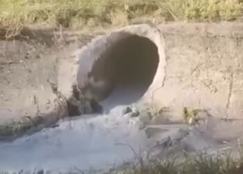 Kjo është Tirana jonë, ujë me çimento derdhet në Lanë para syve të Policisë