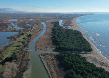 Konfiskim pasurie në Lezhë: Ja kujt i përket toka 15 mijë m² e dyshuar si e lidhur me krimin