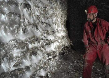 FOTO/ Zbulohet një koloni merimangash ‘të jashtëzakonshme’ në një shpellë në Shqipëri