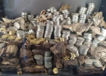 Franca në alarm: Një tjetër muze i grabitur pas Luvrit, zhduken mijëra monedha historike