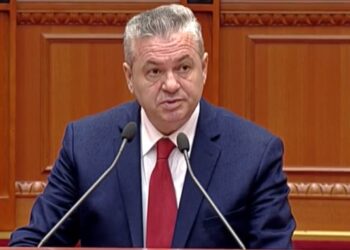 “Mos na çani t… me këto emra”, Murrizi: Kandidati i PD-së duhet me peshë politike