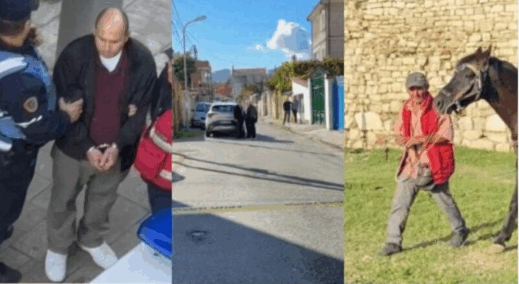 Gjin Gjoni: Krimi ka dalë jashtë kontrollit, rendi dhe siguria në rrezik të madh