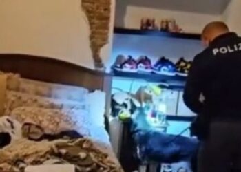 Operacion antidrogë në Itali: Arrestohen 8 shqiptarë dhe 1 italian, shkatërrohet rrjet trafiku në Abruzzo(Video)