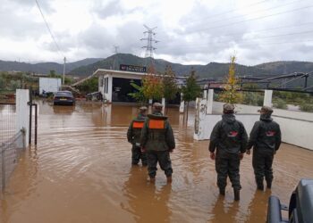 Qarku Shkodër më i prekur nga reshjet, Forcat e Armatosura në terren për menaxhimin e situatës