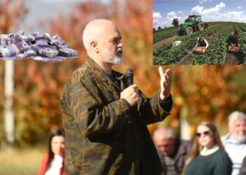 “Bllokimi” i bujqësisë dhe prova e madhe e Shqipërisë për fondet europiane