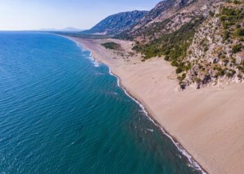 Falsifikim dokumentesh te Rana e Hedhun dhe shpërdorim detyre/ Ekzekutohen masat për 9 persona (Emrat)