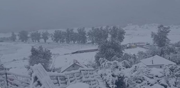 Borë e ngrica në Steblevë të Librazhdit/ Disa fshatra pa energji, rruga drejt Peshkopisë e kalueshme vetëm me zinxhirë