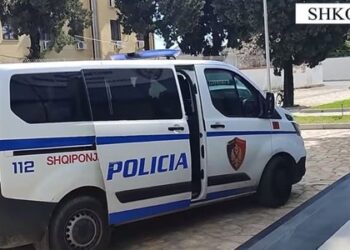 Finalizohet operacioni “Borders 3” – Arrestohet 19-vjeçari që ndihmonte emigrantët të kalonin kufirin ilegalisht