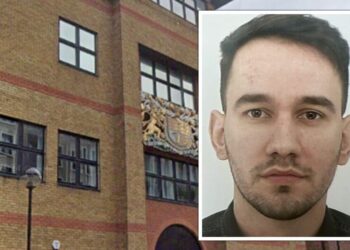 Dënohet me 6 vite burg shqiptari që u hoq si babai i 8 fëmijëve. Ja pse e bëri…