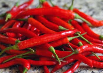 Përsëri perime me pesticide nga Shqipëria, Kroacia bllokon 8 mijë kg speca të kuq djegës